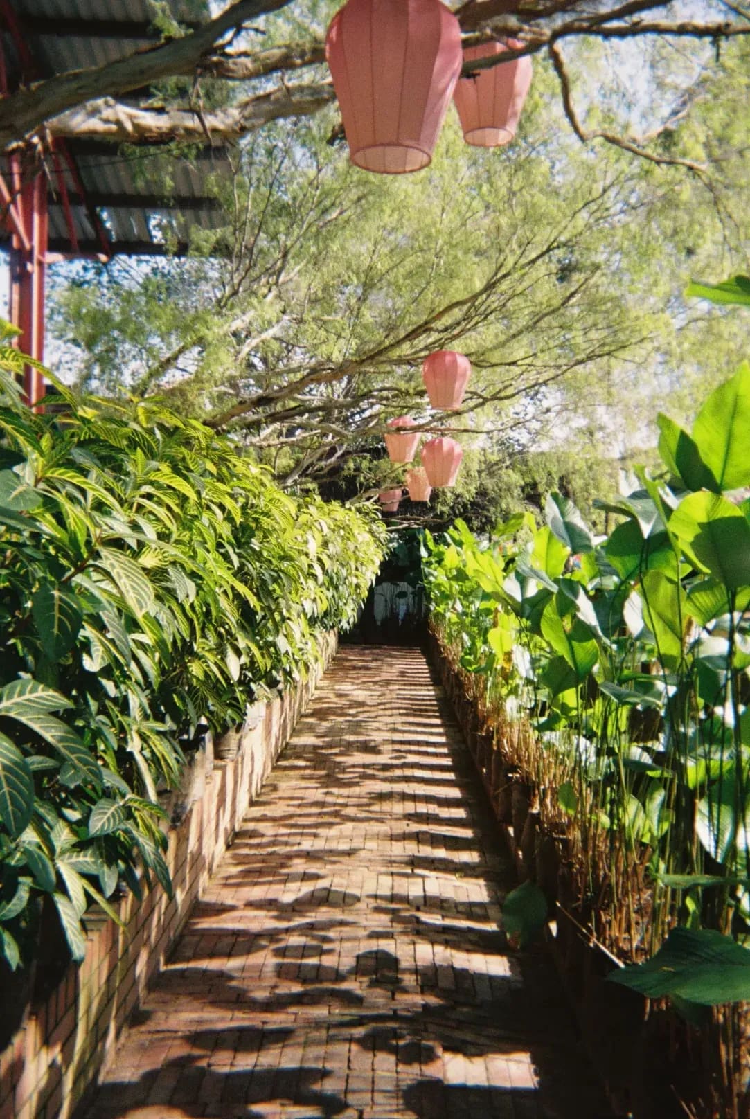 みどり庭園 6